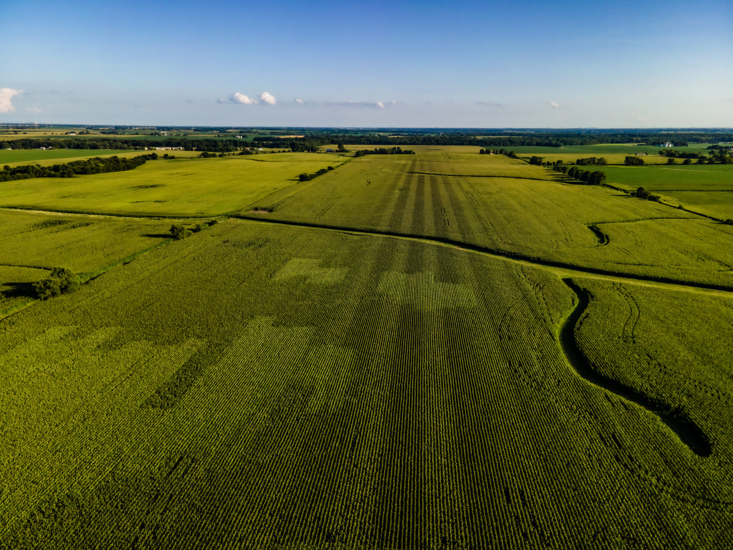 illinois kentucky ohio landscape corn fields and roads